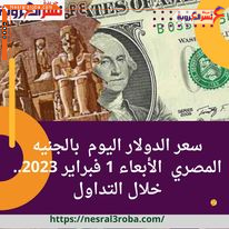 سعر الدولار اليوم بالجنيه المصري الأبعاء 1 فبراير 2023.. خلال التداول