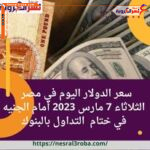 سعر الدولار اليوم في مصر الثلاثاء 7 مارس 2023 أمام الجنيه في ختام التداول بالبنوك