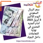 سعر الريال السعودي اليوم الإثنين 3 أبريل 2023 أمام الجنيه المصري في نهاية التعاملات داخل البنوك