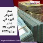 سعر الدولار اليوم في لبنان الإثنين 29 مايو 2023.. رغم التطورات في ملف ملاحقة الحاكم المصرفي .