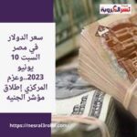 سعر الدولار في مصر السبت 10 يونيو 2023..وعزم المركزي إطلاق مؤشر الجنيه