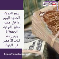 سعر صرف الدولار الجديد اليوم داخل مصر مقابل الجنيه الجمعة 9 يونيو بعد ثبات الأخضر في البنوك