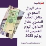 سعر الريال السعودي مقابلالجنيه المصري خلال التداول اليوم الخميس 22 يونيو 2023