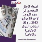 أسعار الريال السعودي في مصر اليوم.. الأحد 25 يونيو 2023 .. وفقا لبيانات البنوك الحكومية والخاصة