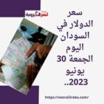 أسعار العملات في السودان اليوم الجمعة 30 يونيو 2023.. بالرغم من تجدد الاشتباكات العنيفة