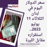 سعر الدولار اليوم في لبنان الثلاثاء 11 يوليو 2023.. استقراره مقابل الليرة