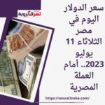 سعر الدولار اليوم في مصر الثلاثاء 11 يوليو 2023.. أمام العملة المصرية
