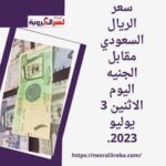 سعر الريال السعودي مقابل الجنيه اليوم الاثنين 3 يوليو 2023..آخر تحديثات عرض البنوك المصرية.