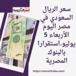 سعر الريال السعودي في مصر اليوم الأربعاء 5 يوليو..استقرارا بالبنوك المصرية