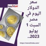 سعر الدولار اليوم في مصر السبت 1 يوليو 2023.. لتيسير الإفراج عن البضائع من الموانئ.