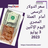 سعر الدولار الرسمى أمام العملة المصرى اليوم الإثنين 3 يوليو 2023