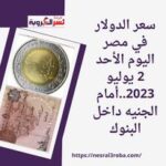 سعر الدولار في مصر اليوم الأحد 2 يوليو 2023..أمام الجنيه داخل البنوك