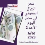 سعر الريال السعودي في مصر اليوم الأحد 2 يوليو 2023 في آخر تحديث بالبنوك المصرية.