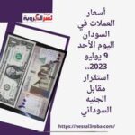 أسعار العملات في السودان اليوم الأحد 9 يوليو 2023.. استقرار مقابل الجنيه السوداني