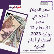 سعر الدولار اليوم في مصر الأربعاء 12 يوليو 2023.. استقرار أمام الجنيه