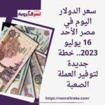 سعر الدولار اليوم في مصر الأحد 16 يوليو 2023.. خطة جديدة لتوفير العملة الصعبة