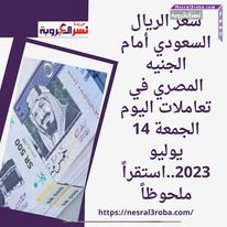 سعر الريال السعودي أمام الجنيه المصري في تعاملات اليوم الجمعة 14 يوليو 2023..استقراراً ملحوظاً