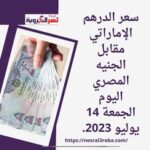 سعر الدرهم الإماراتي مقابل الجنيه المصري اليوم الجمعة 14 يوليو 2023..بحسب آخر تحديث
