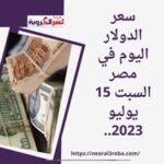 سعر الدولار اليوم في مصر السبت 15 يوليو 2023.. وفقا لبيانات البنك المركزي