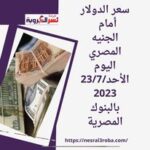 سعر الدولار أمام الجنيه المصري اليوم الأحد23/7/2023 بالبنوك المصرية