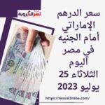 سعر الدرهم الإماراتي أمام الجنيه في مصر اليوم الثلاثاء 25 يوليو 2023