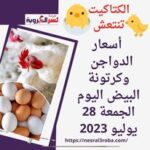 الدواجن الأمهات تنتعش.. أسعار الدواجن وكرتونة البيض اليوم الجمعة 28 يوليو 2023