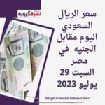 سعر الريال السعودي اليوم مقابل الجنيه في مصر السبت 29 يوليو 2023