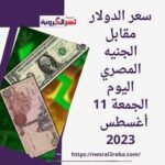 سعر الدولار مقابل الجنيه المصري اليوم الجمعة 11 أغسطس 2023 في البنوك لحظة بلحظة.