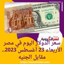 سعر الدولار اليوم في مصر الأربعاء 23 أغسطس 2023.. مقابل الجنيه