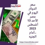 سعر الدولار اليوم في مصر الأحد 13 أغسطس 2023 ..أمام الجنيه