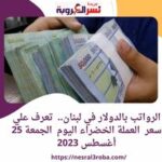 الرواتب بالدولار في لبنان.. تعرف علي سعر العملة الخضراء اليوم الجمعة 25 أغسطس 2023