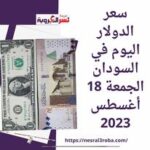 أسعار العملات في السودان اليوم الجمعة 18 أغسطس 2023.. استقرار مقابل الجنيه