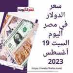 سعر صرف الدولار اليوم في مصر السبت 19 أغسطس 2023..وفقا لبيانات النبوك المصرية