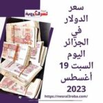 سعر الدولار في الجزائر اليوم السبت 19 أغسطس 2023.. أمام الدينار