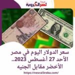 سعر الدولار اليوم في مصر الأحد 27 أغسطس 2023.. الأخضر مقابل الجنيه