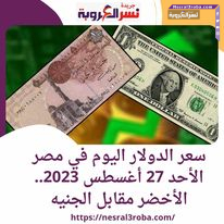 سعر الدولار اليوم في مصر الأحد 27 أغسطس 2023.. الأخضر مقابل الجنيه