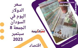 أسعار العملات اليوم في السودان الجمعة 8 سبتمبر 2023.. استقرار أمام الجنيه