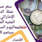 سعر صرف عملة الدرهم الإماراتي أمام الجنيه المصري اليوم السبت 9 سبتمبر 2023