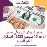 سعر الدولار اليوم في مصر الأحد 10 سبتمبر 2023.. استقرار امام الجنيه