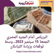البريكس أمام الجنيه المصري الجمعة 15 سبتمبر 2023.. وسط توقعات بزيادة التبادل