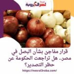 قرار مفاجئ بشأن البصل في مصر.. هل تراجعت الحكومة عن حظر التصدير؟