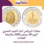 عملات البريكس أمام الجنيه المصري اليوم 29 سبتمبر 2023..مقايضة العملات.