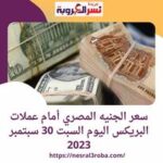 سعر الجنيه المصري أمام عملات البريكس اليوم السبت 30 سبتمبر 2023