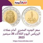 سعر الجنيه المصري أمام عملات البريكس اليوم الثلاثاء 26 سبتمبر 2023