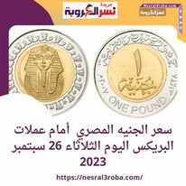 سعر الجنيه المصري أمام عملات البريكس اليوم الثلاثاء 26 سبتمبر 2023
