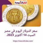 سعر الدولار اليوم في مصر السبت 14 أكتوبر 2023.. ارتفاع داخل السوق