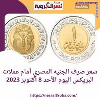 سعر صرف الجنيه المصري أمام عملات البريكس اليوم الأحد 8 أكتوبر 2023