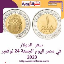 سعر صرف عملة الدولار اليوم في مصر الجمعة 24 نوفمبر 2023