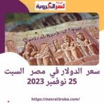 سعر #الدولار اليوم في #مصر السبت 25 نوفمبر 2023.. في ظل الإجازة الإسبوعية للبنوك