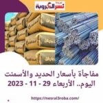 أسعار غير متوقعة .. تعرف علي سعر الحديد والأسمنت الأربعاء 29 نوفمبر 2023